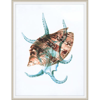 Colors Of The Sea 3 Print by Art House Studios