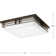 Helm Acrylic LED Flush Mount Light