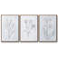 Dear Nature I - Ensemble de 3 cadres flottants sur toile-97754045-97754050