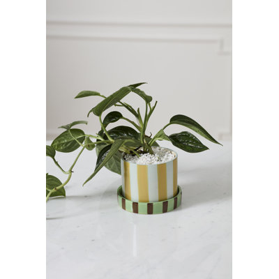 Joyelle Pot with Saucer 5.75"x 4.5"