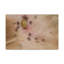 No Frame Print on Canvas-1942865353
