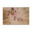 Wall Art on Canvas-1942865207