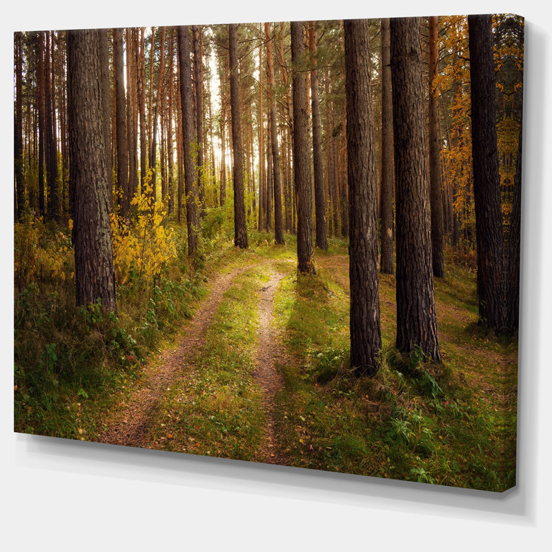 «Road traverse Thick Fall Forest», reproduction de photo sur toile tendue, H 30 po x l 40 po