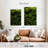 " Thick Moss "-562715140