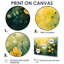 Fleurs sauvages prairies par la campagne II - fleurs sauvages-988216525-988216562-988216564