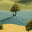 Papier peint paysage naturel Shades of Green