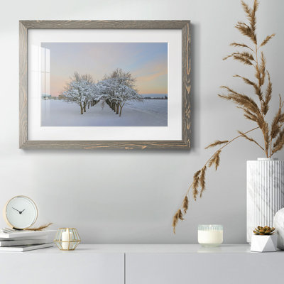 Parmi les arbres