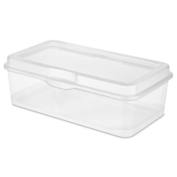 https://assets.wfcdn.com/im/00673938/resize-h755-w755%5Ecompr-r85/2395/239502921/Sterilite+Plastic+Stacking+FlipTop+Latching+Storage+Box+Container%2C+Clear.jpg