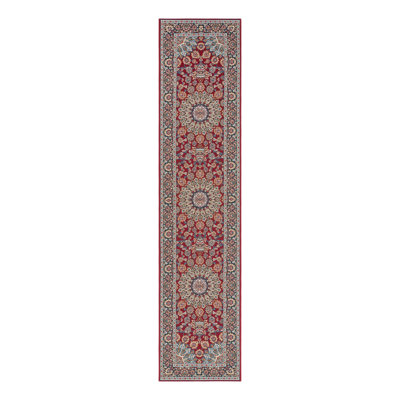 Indoor/Outdoor Traditional Area Rug