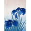 Iris Flowers by Ohara Koson - Wrapped Canvas Print-1444142209