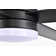 Avamaria 52'' Ceiling Fan with LED Lights
