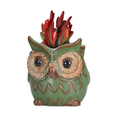 Owl Ceramic Planter Pot (4.3")