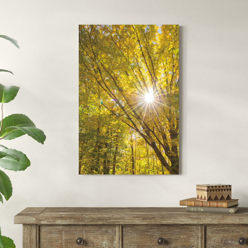 Feuillage d'automne Sunburst I, H 36 po x l 24 po