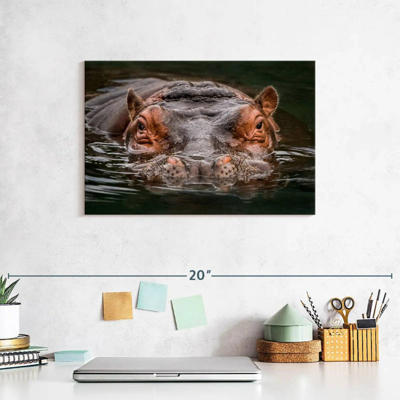 Brampt Submerged Hippo, 8" H x 12" W