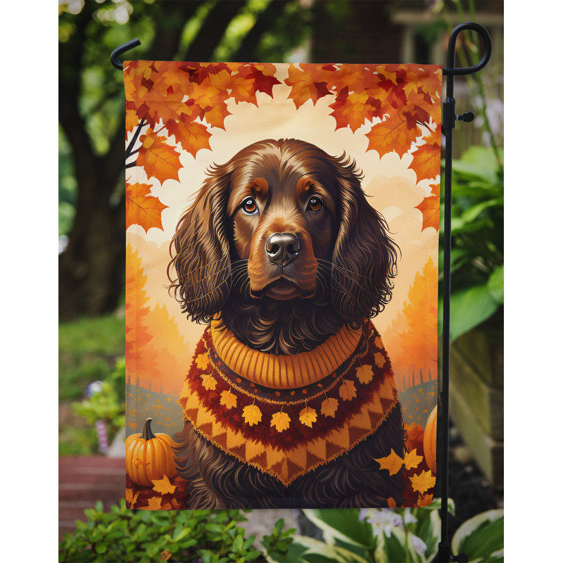 Drapeau de jardin double en polyester H 15,5 po x l 11,25 po