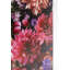 Flower Bouquet - No Frame Rectangle Print on Canvas-63710370