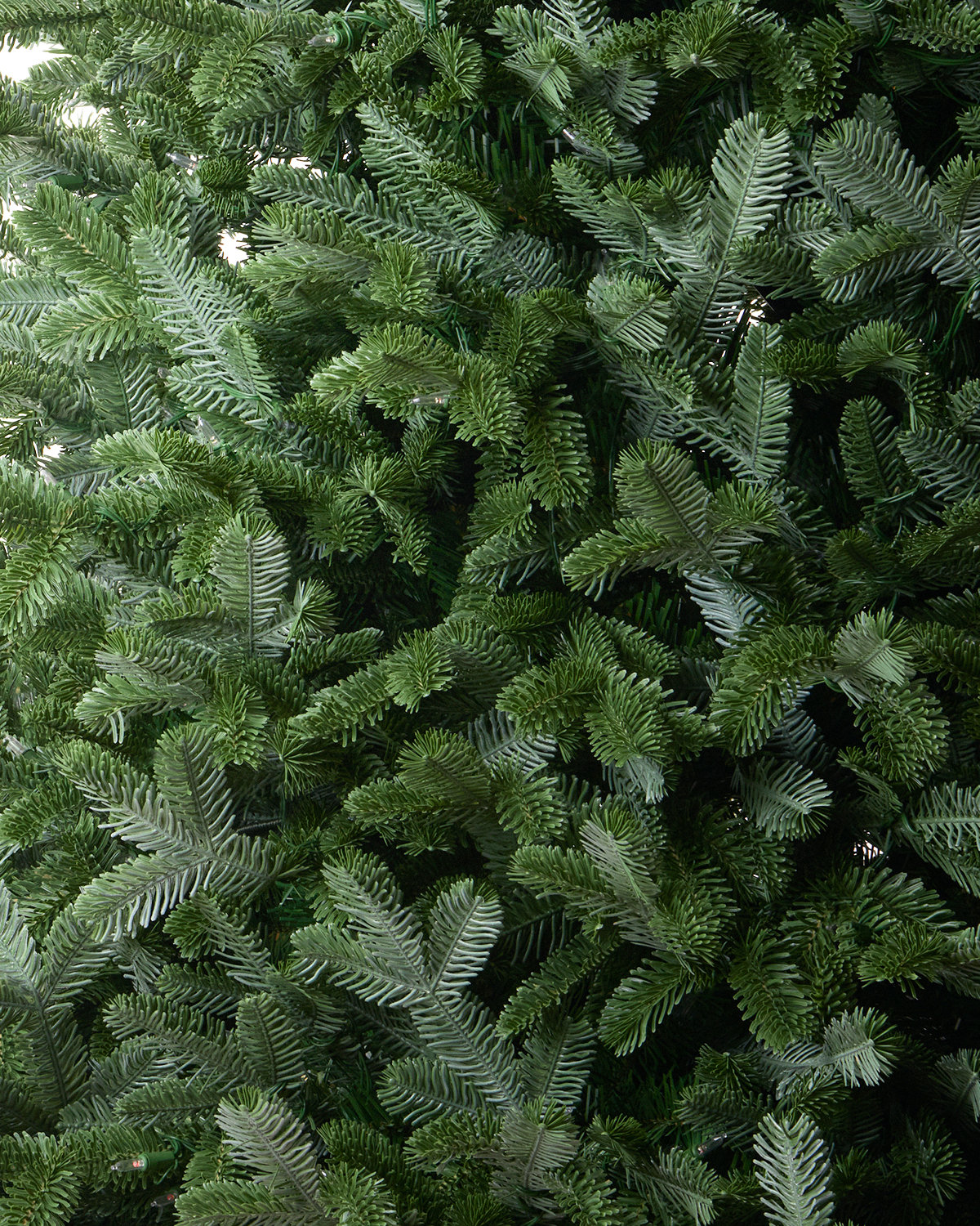 Flocked Pre-Lit Fir Christmas Tree, 9'