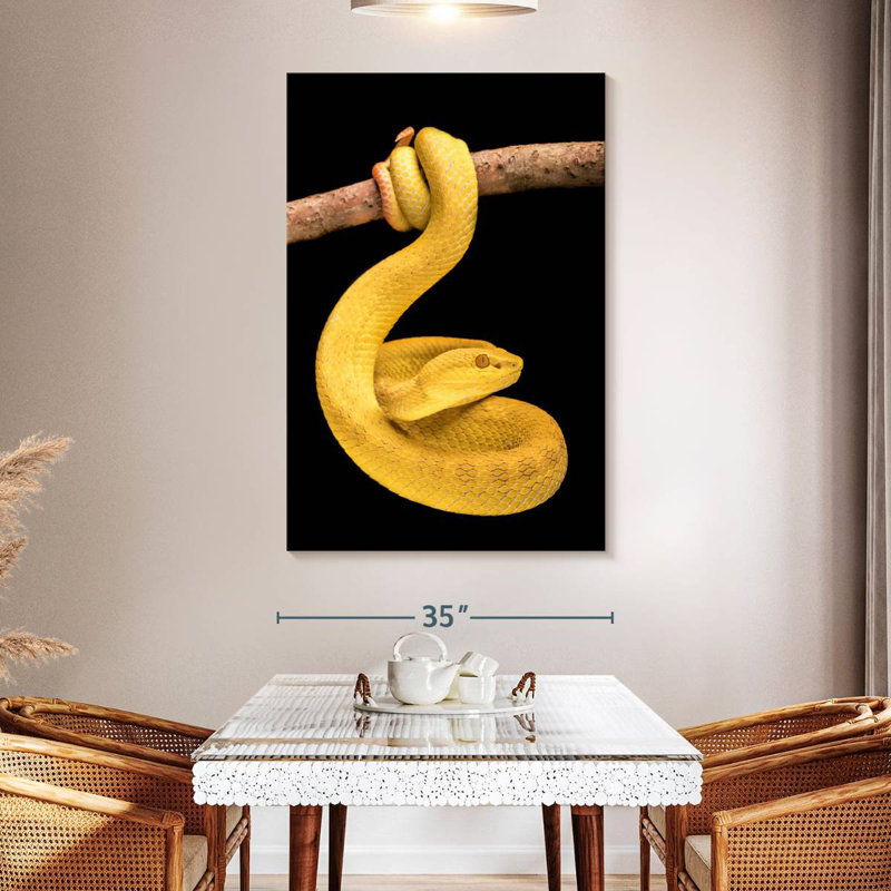 Brampt Venomous Pit Viper, 51" H x 34" W