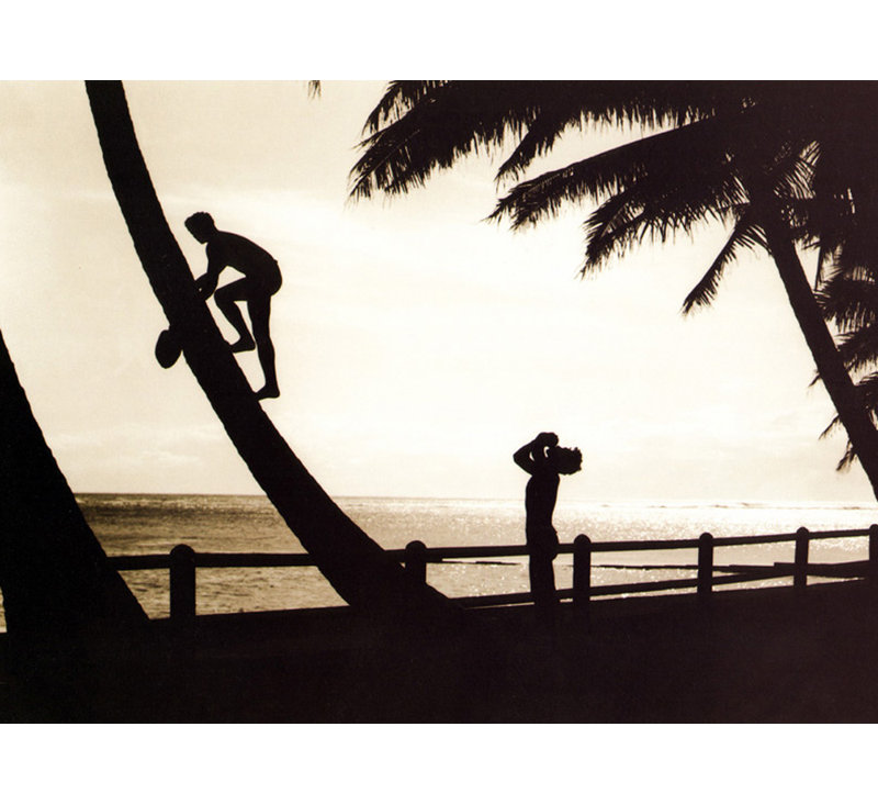 Silhouette hawaïenne, 1931, H 35 po x l 48 po