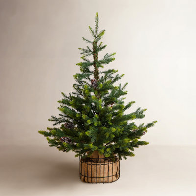 Balsam 3' Pine Christmas Tree