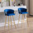 Rikiya 25'' H Velvet Upholstered Side Chair-359087835