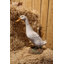 Animals Weather Resistant Water Resistant UV Resistant Polyresin Garden Statue