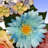 33" Spring Flowers Swag-591549398