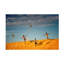 Art sur toile Burak Senbak-109344826