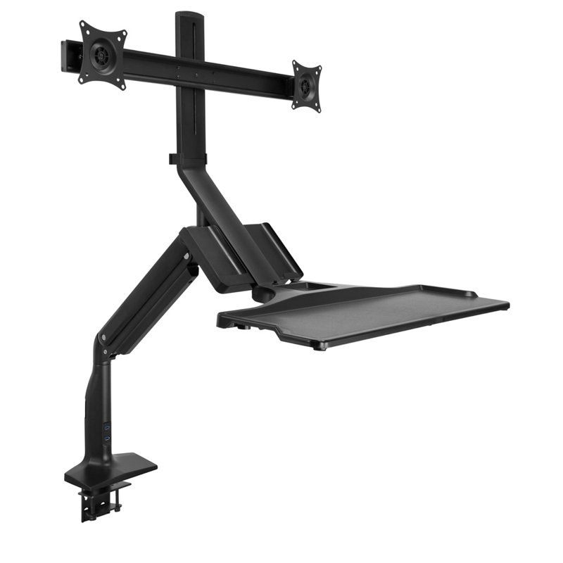 Computer Mount