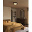 Astoria 14-in Black Flush Mount-664471725