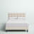 Leonard Upholstered Standard Bed-1134780918