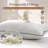 100% Organic Cotton Cover Soft Support Feather Down Pillows Set of 2-951370230