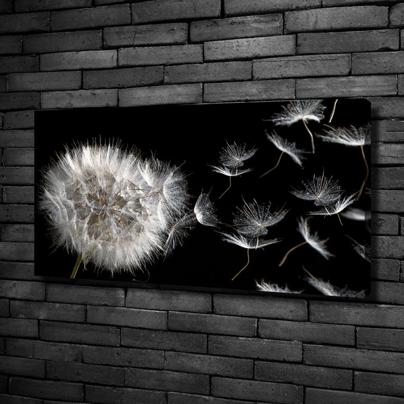 Dandelion - Wrapped Canvas Print
