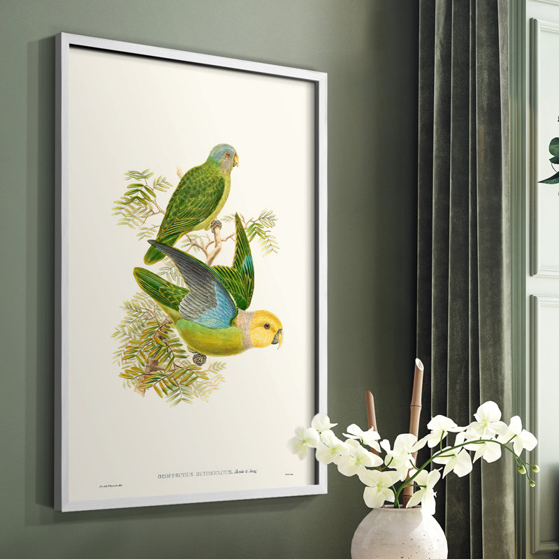 «Lime & Cerulean Parrots I», reproduction encadrée - bois massif, Blanc, H 14 po x l 11 po