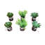 40 po Dracaena plante en pot blanc