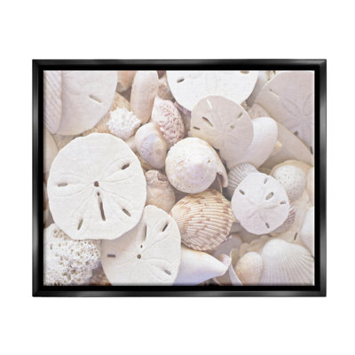 Photographie de cadre blanc flottant avec coquillages blancs