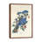 Blue Jay, 1831 by John Audubon - Print on Canvas-1175201685-1175201690