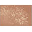 Swimming In Blush 1 Print by Thom Filicia