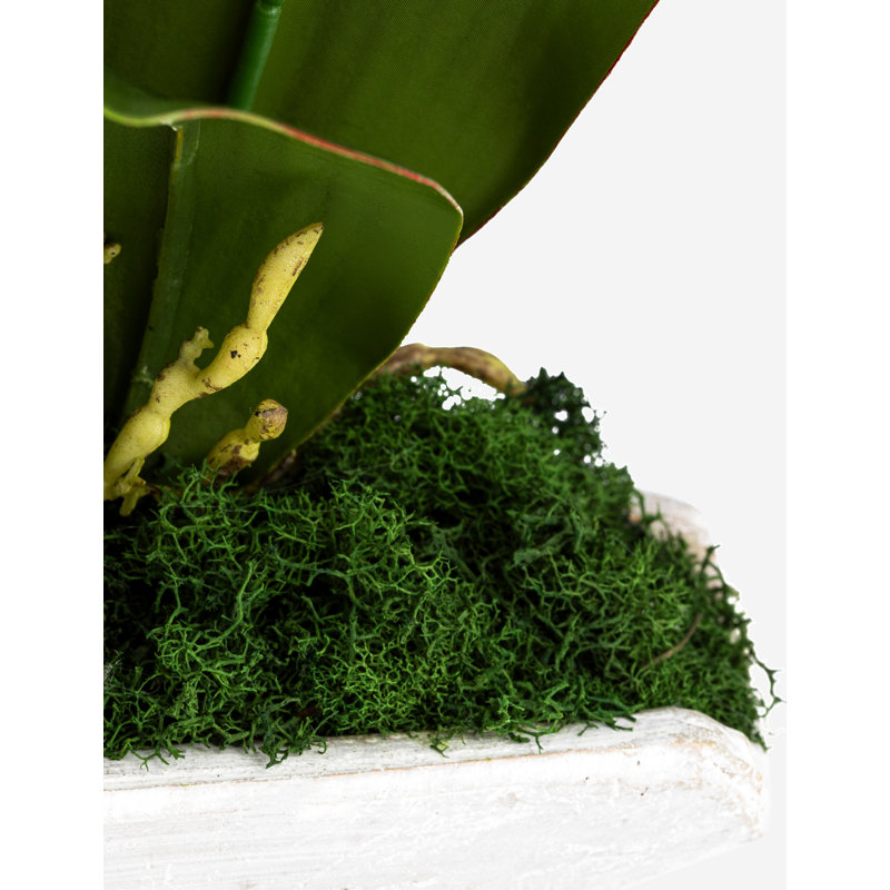 Jardinière fonctionnelle et fonctionnelle Realtouch Orchid