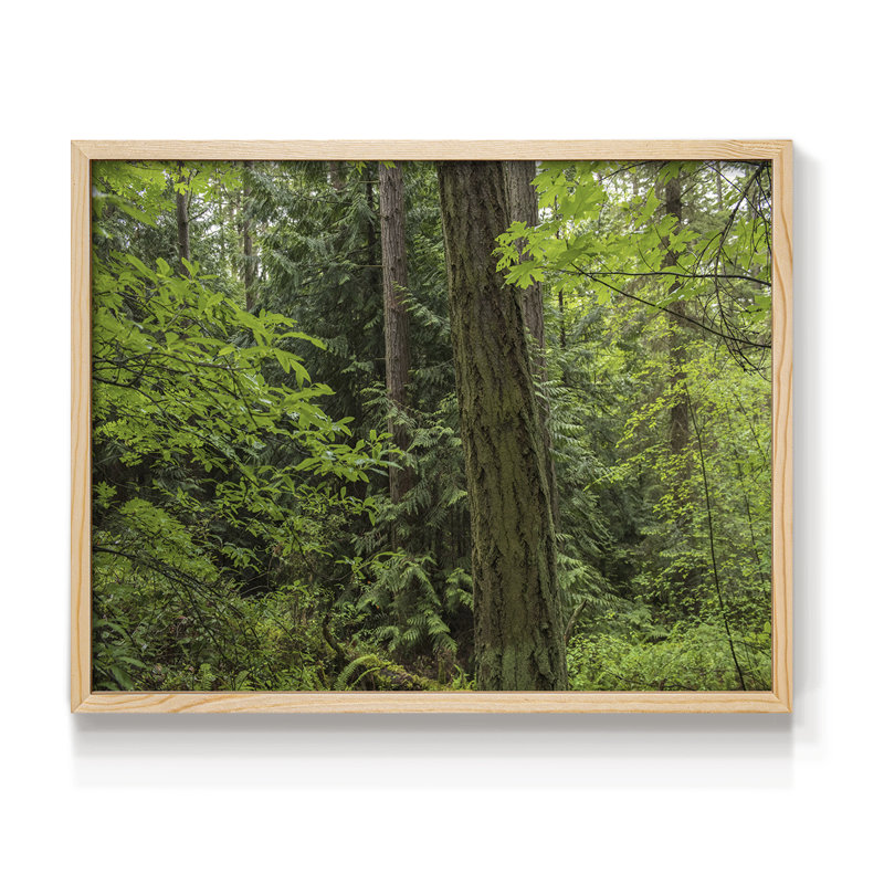 Calm of the Forest - Reproduction encadrée - Restickable, H 11 po x l 14 po, Naturel