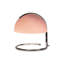 Danwati USB Writing Desk Lamp-1059159893