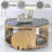 ACME Tanquin Coffee Table, Gold & Black Glass
