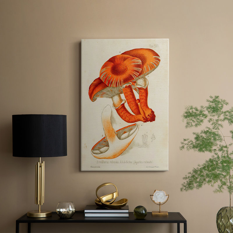 Champignon Variétés VII - Cavas de galerie sur mesure, H 27 po x l 18 po