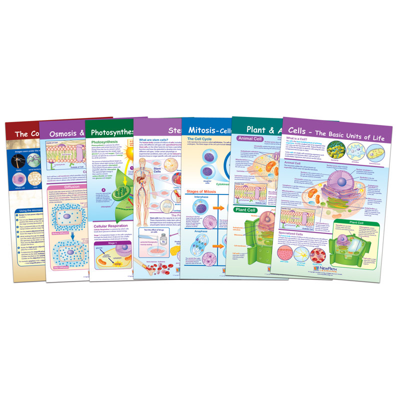 Ensemble de tableaux de babillard Cell