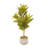30'' Faux Crotons Plant in Cement Pot