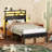 Bed Frame With Rgb Led Lights, Bed With Headboard, Charging Station, Black Oack-838278257