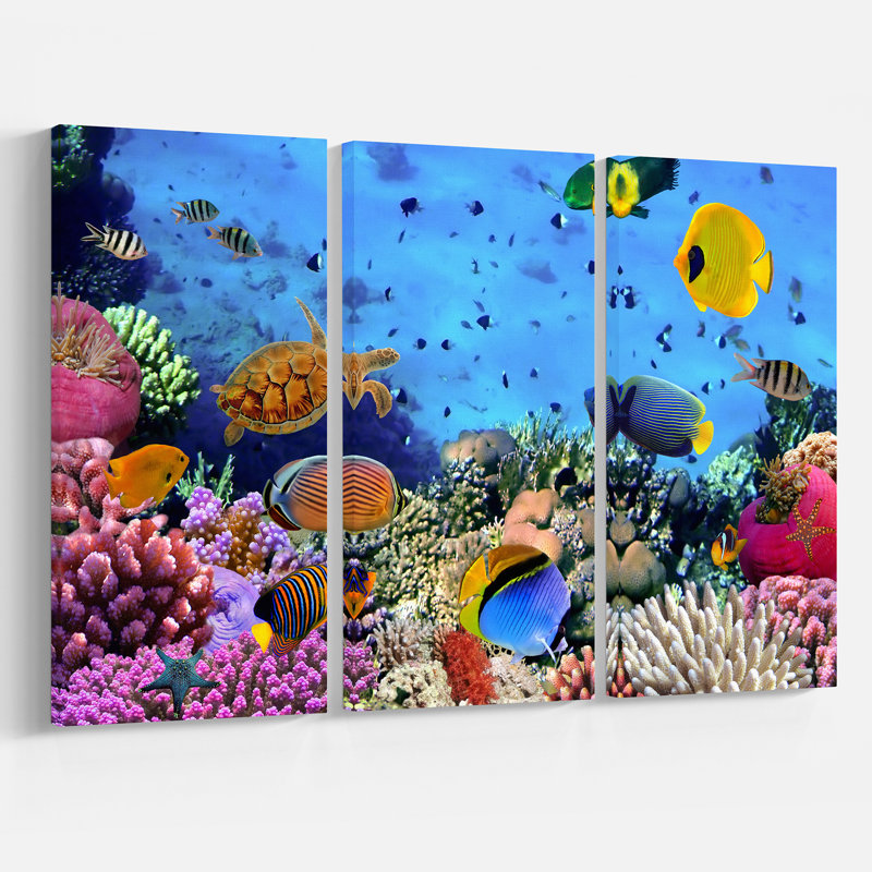 « corail corail colonie », reproduction de photo à multiples images sur toile tendue
