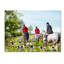 «Armand Horse» par Armand, reproduction sur toile-21650556