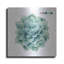 Luxe Art «Succulent I» par Grace Popp «W Succulent I» par Grace Popp