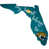 Jacksonville Jaguars